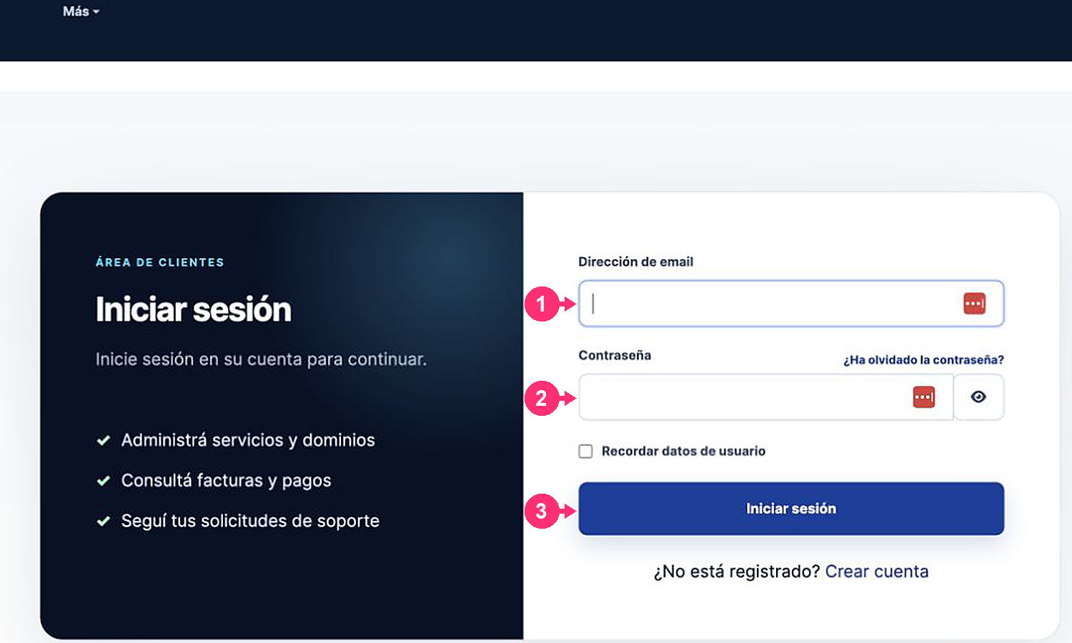 Client Area login form