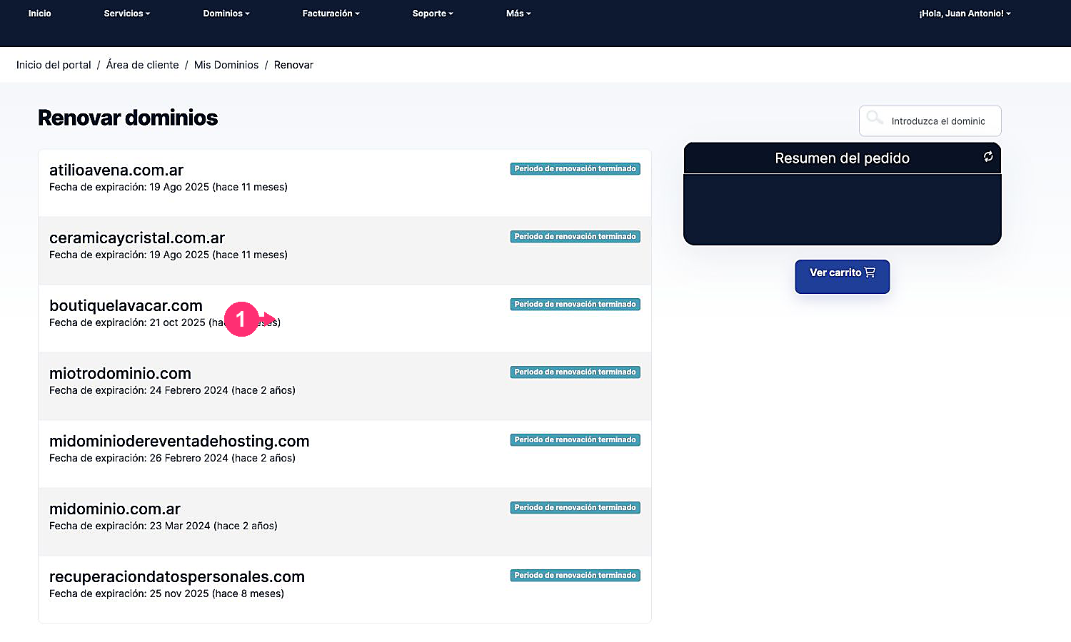 Current screen for renewing domains