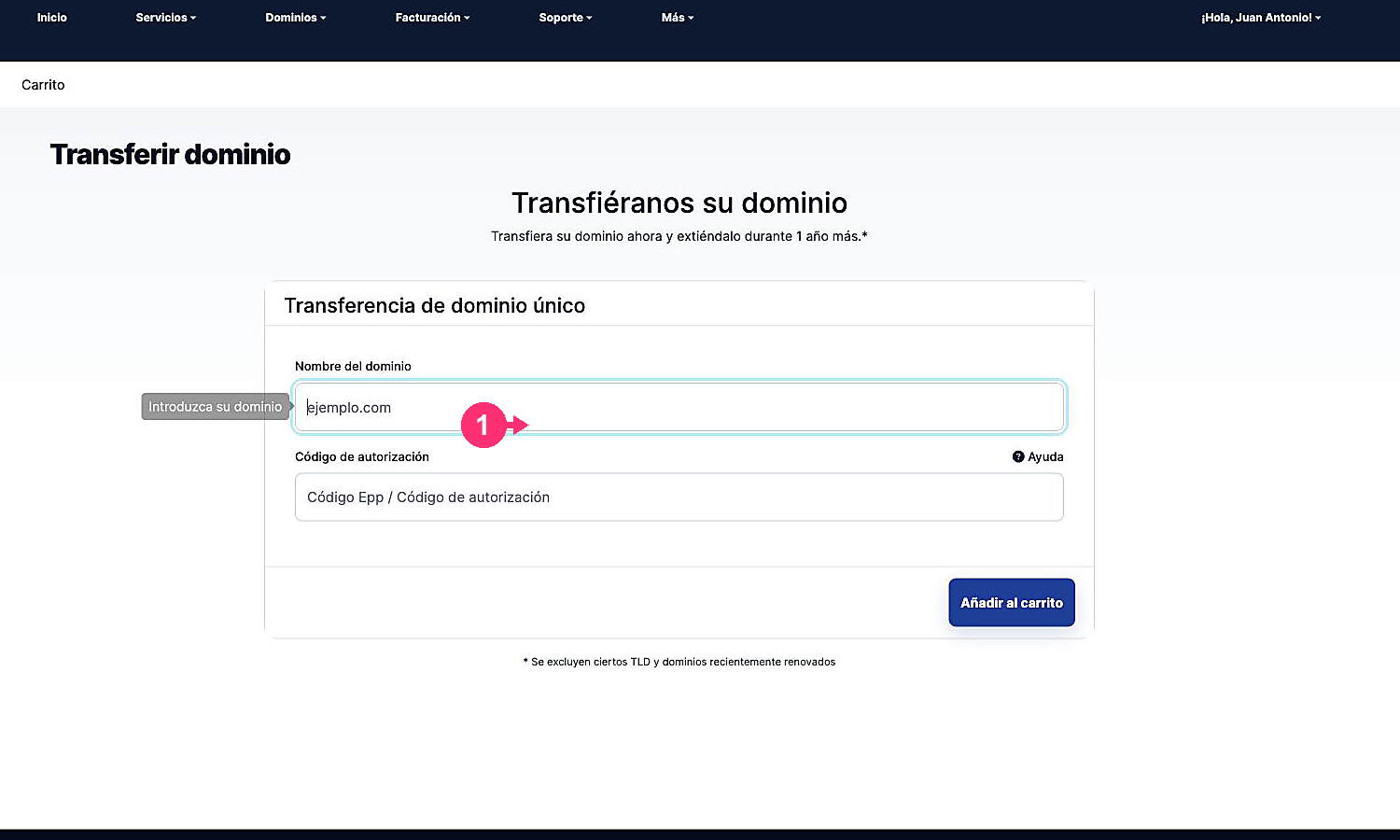 Current form to start a domain transfer