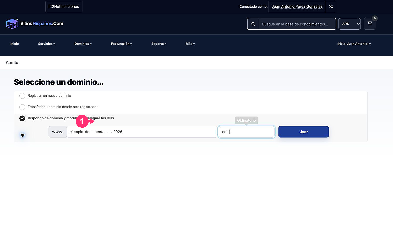 Selection of an existing domain to delegate its DNS