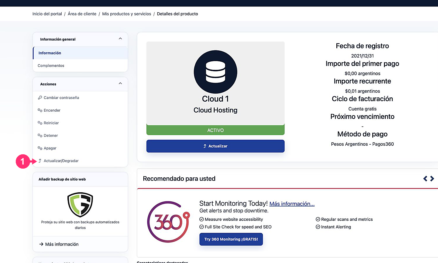 Detail of a service with the Upgrade or Downgrade option